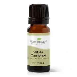 White Camphor (Camfor Alb)