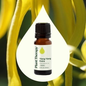 Ylang Ylang Extra - Img 2