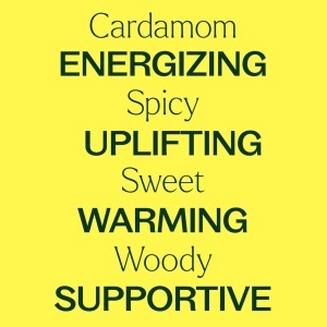 Cardamom - Img 8