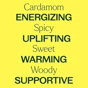Cardamom - Img 8