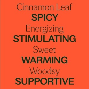 Cinnamon Leaf (Frunză de Scorțișoară) - Img 6