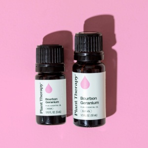 Geranium Bourbon (Mușcata Bourbon) - Img 6