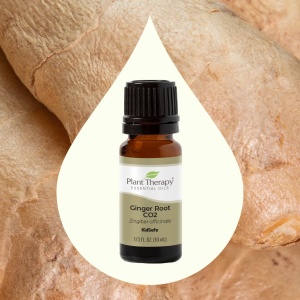 Ginger Root CO2 Extract (Extract de CO2 din rădăcină de ghimbir) - Img 3