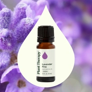 Lavender Fine (Lavandă Fină de Altitudine) - Img 2