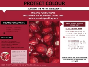Șampon 2 in 1 pentru netezirea si pentru hranirea parului vopsit, 200ml, 500ml - Img 4