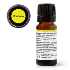 Cananga (varietate de Ylang Ylang cu aromă mai subtilă și lemnoasă) - Img 3