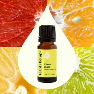 Citrus Burst - Img 3