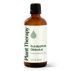 Eucalyptus Globulus (Eucaliptul Albastru) - Img 3