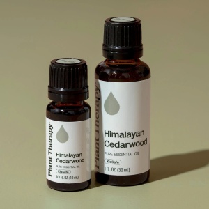 Himalayan Cedarwood (Cedru de Himalaya) - Img 5