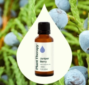 Juniper Berry (Ienupăr) - Img 4