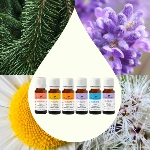 KidSafe Starter Pack - Set 6 x 10ml - Img 2