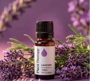 Lavender (Lavandă) - Img 2