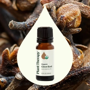 Organic Clove Bud - Img 2