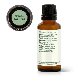 Organic Tea Tree - Img 2