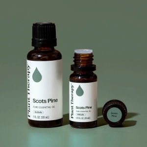 Scots Pine (Pin Scoțian) - Img 5