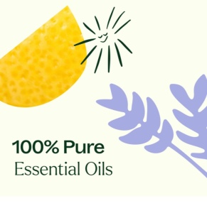 Sleep Easy Essential Oil Blend Roll-On Set (Set blenduri roll-on Somn usor ) – 3 buc x 10ml - Plant Therapy - Img 4