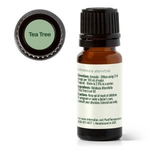 Tea Tree - Img 2