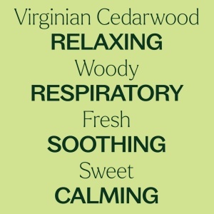 Virginian Cedarwood (Cedru de Virginia) - Img 5