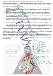 Analiză personalizată individuală de autocunoaștere prin Numerologie, Human Design și Cheile Genelor - Img 3