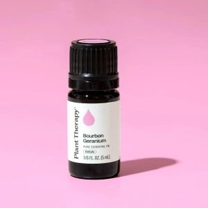 Geranium Bourbon (Mușcata Bourbon) - Img 8