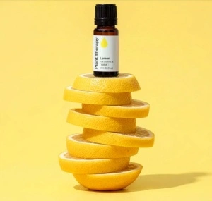 Lemon (Lămâie) - Img 2