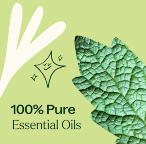 Lemon, Lavender and Peppermint Set – 3 buc x 10ml - Plant Therapy - Img 5