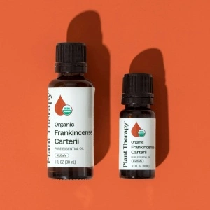 Organic Frankincense Carterii - Img 5