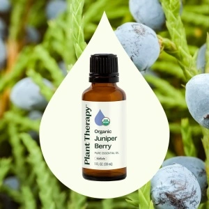 Organic Juniper Berry - Img 2