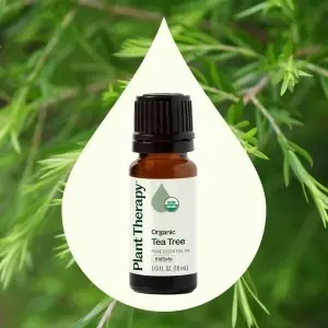 Organic Tea Tree - Img 3