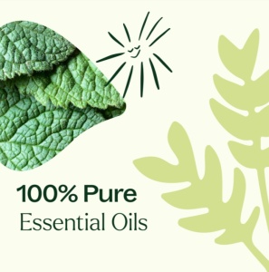 Pain Support Essential Oil Blend Roll-On Set (set blenduri roll-on pentru durere) – 3 x 10ml - Plant Therapy - Img 4