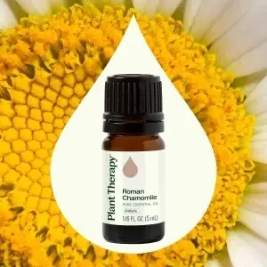Roman Chamomile (Mușețel Roman) - Img 2