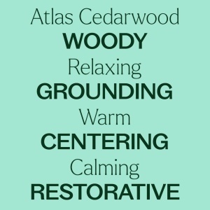 Atlas Cedarwood (Cedru Atlas) - Img 9
