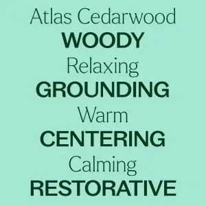 Atlas Cedarwood (Cedru Atlas) - Img 9