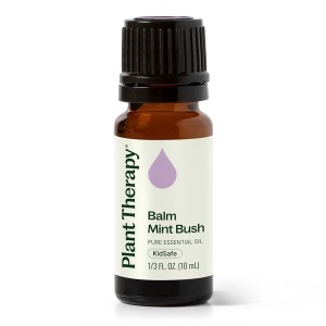 Balm Mint Bush (Mentă Balsamică Australiană)