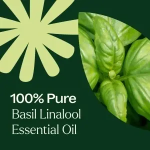 Basil Linalool (Busuioc Linalool) - Img 6