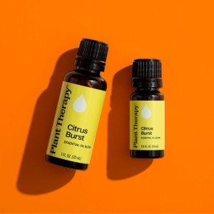 Citrus Burst - Img 5