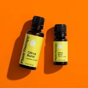 Citrus Burst - Img 5