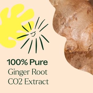 Ginger Root CO2 Extract (Extract de CO2 din rădăcină de ghimbir) - Img 6