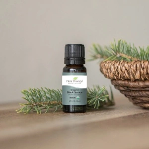 Organic Black Spruce - Img 3