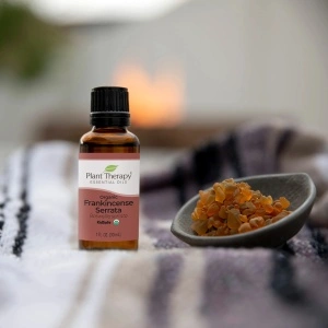 Organic Frankincense Serrata (Tămâie indiană organică) - Img 3