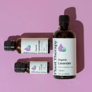 Organic Lavender - Img 7