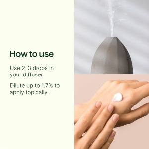 Organic Spearmint - Img 2
