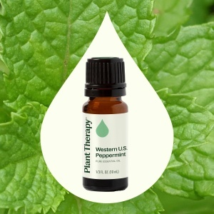 Western U.S. Peppermint (Mentă piperită din vestul SUA) - Img 2