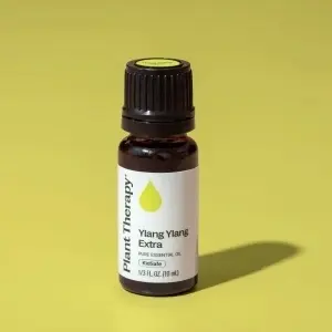 Ylang Ylang Extra - Img 6
