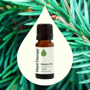Balsam Fir (Brad Balsamic) - Img 2