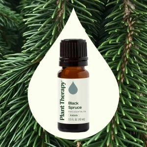 Black Spruce - Img 2