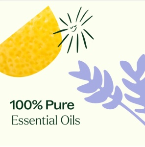 Breathe Easy Set – 6 buc x 10ml - Plant Therapy - Img 4