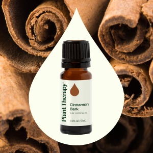 Cinnamon Bark (Scoarță de Scorțișoară) - Img 2