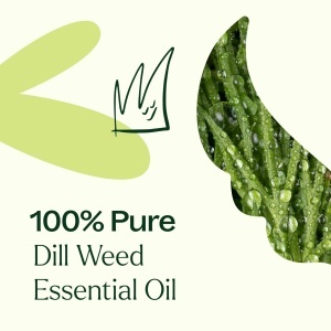 Dill Weed (Mărar) - Img 5