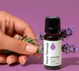 Lavender (Lavandă) - Img 3